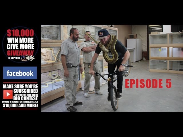 Jumping Our Way Through Reticulated Pythons : Episode 5