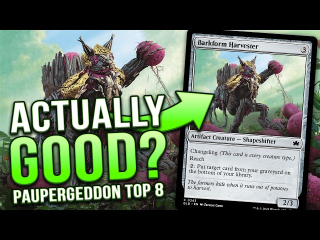 PAUPERGEDDON TOP 8! Barkform Harvester in Cycle Storm — Bloomburrow (MTG BLB) | Magic: The Gathering