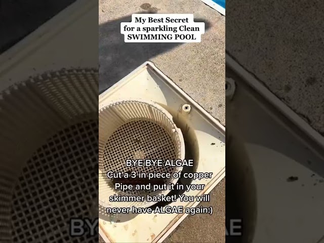 Getting rid of algae in your pool . Simply use a copper pipe;)