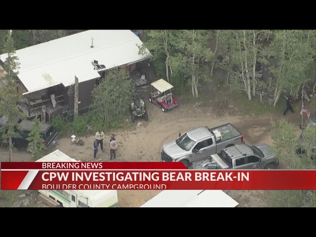CPW: Incident that left one injured in Boulder County was not bear attack