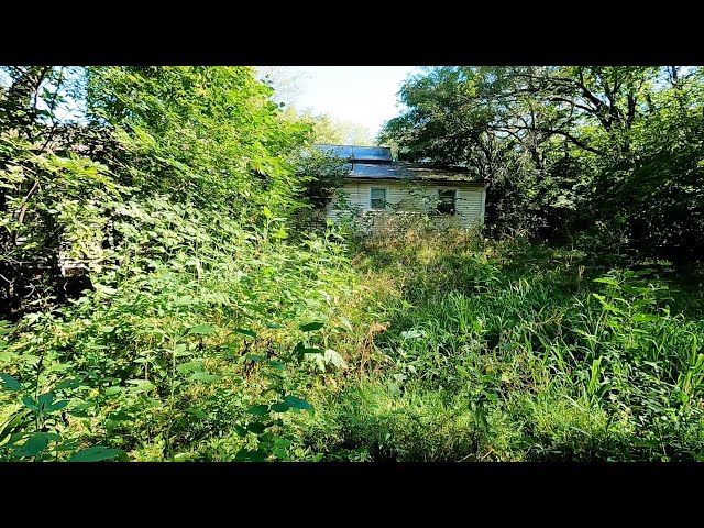 SHOCKING Backyard TRANSFORMATION For Elderly Woman - SATISFYING RESULT