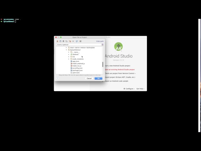 How to Add a Splash Screen to a React Native App (iOS and Android)