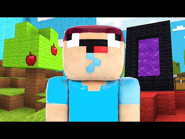 MINECRAFT but it's the TEMU VERSION! 🤑
