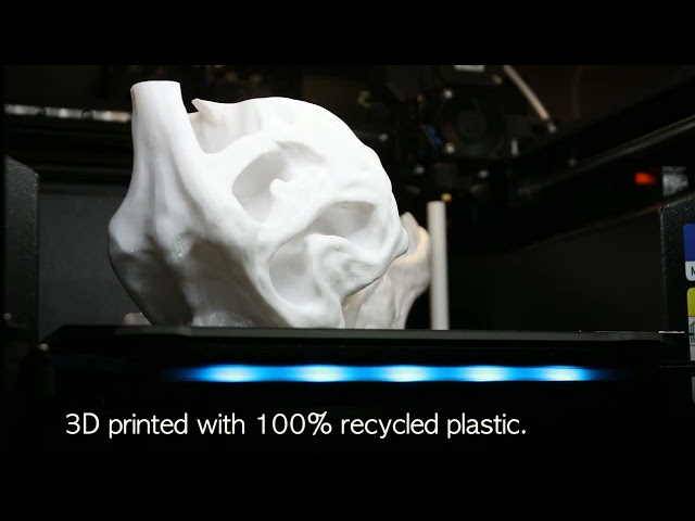 T-Rex Skull Time-lapse | 3D Printed with 100% Recycled PETG