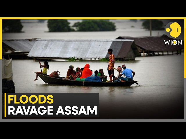 Assam Floods: 31 Killed & Over 100 Missing In Last 24 Hours | WION News