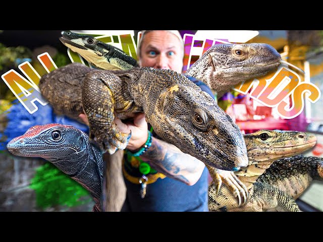 TOUR OF ALL MY GIANT LIZARDS!!! | BRIAN BARCZYK