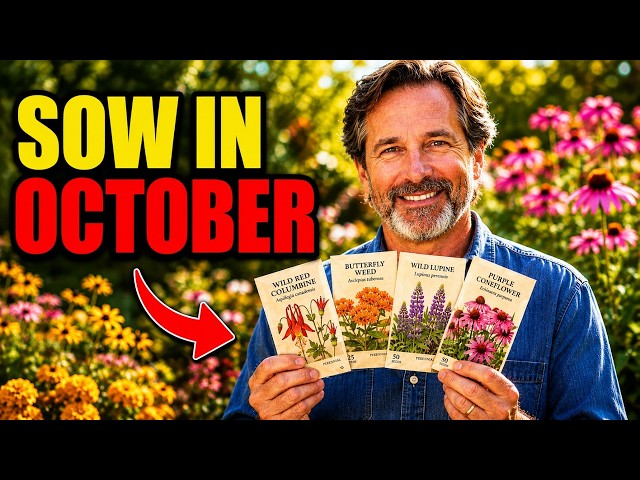 Sow These 9 Perennial Seeds in October — Skip Them and Lose a Year