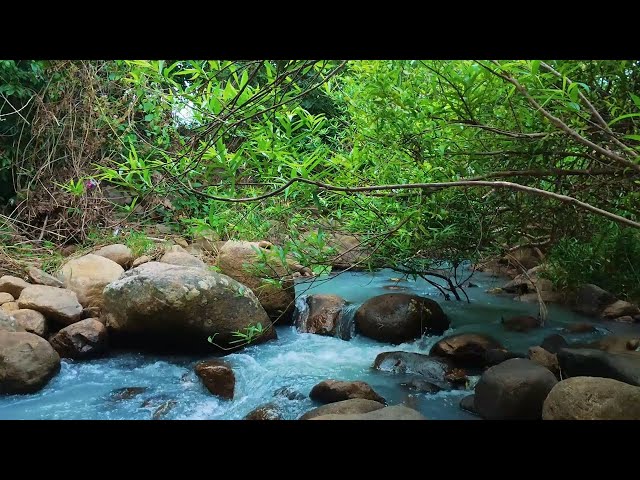 Premium Waterfall Sounds for Adult Sleep & Focus | Live 24/7