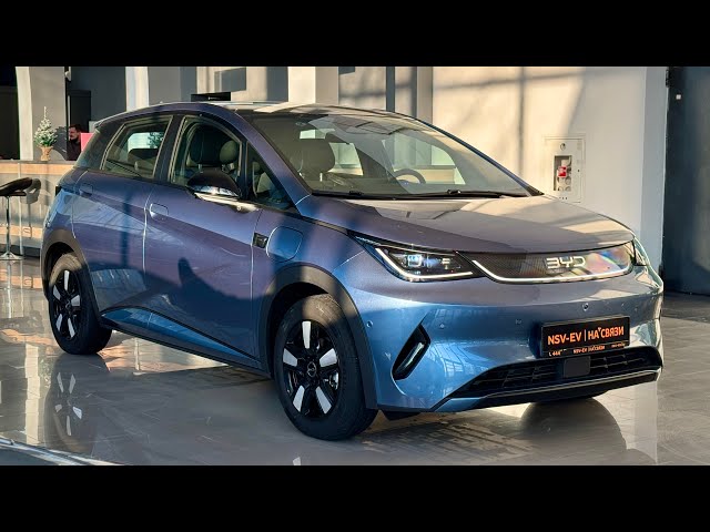 2025 BYD Dolphin | Fashion Edition - Visual Review of the Car