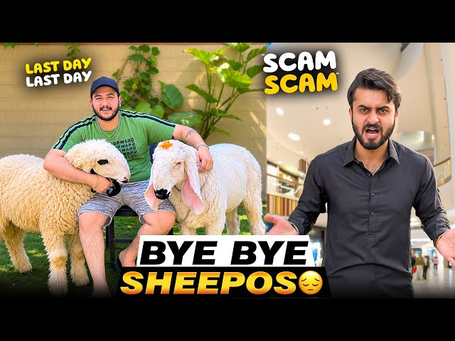 Last Day With Sheepos🥹  Haider And Me Got Scammed In Mall😡