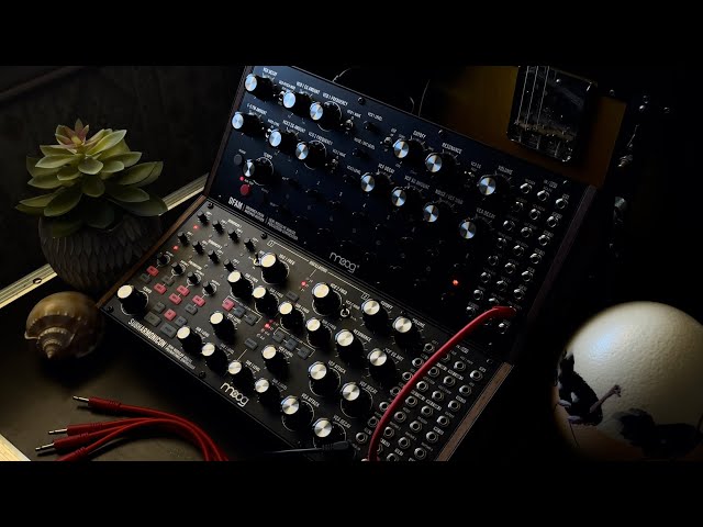 17 Minutes of Moog Subharmonicon and DFAM sequences // Ambient Electronic (mostly)
