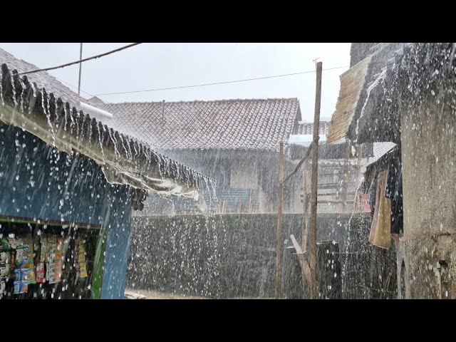 LIVE – Real Indonesian Village Rain 🌧 Sleep & Relax ,rain sound for sleep
