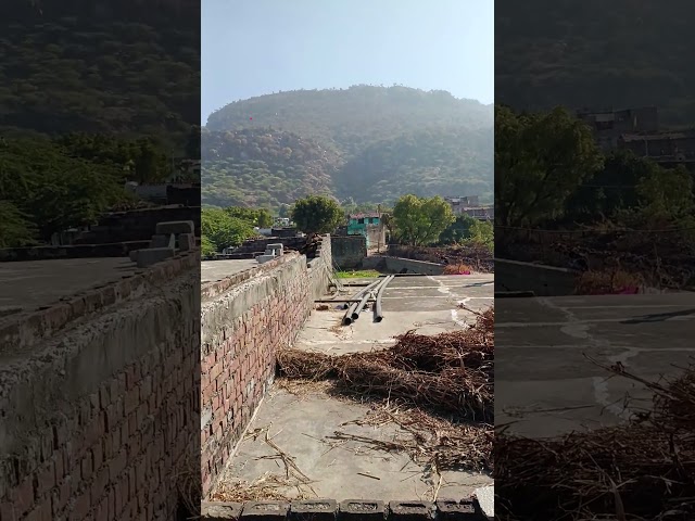 #funny #rap #reels #algorithm #facts #cute #animals #comedyreels #love #like #love #bts #ai #usa #yt