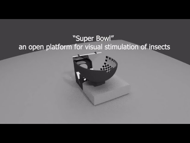 Super Bowl, an open platform for visual stimulation of insects