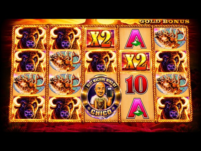 HUGE WIN on Bufflalo Slot Machine in Las Vegas