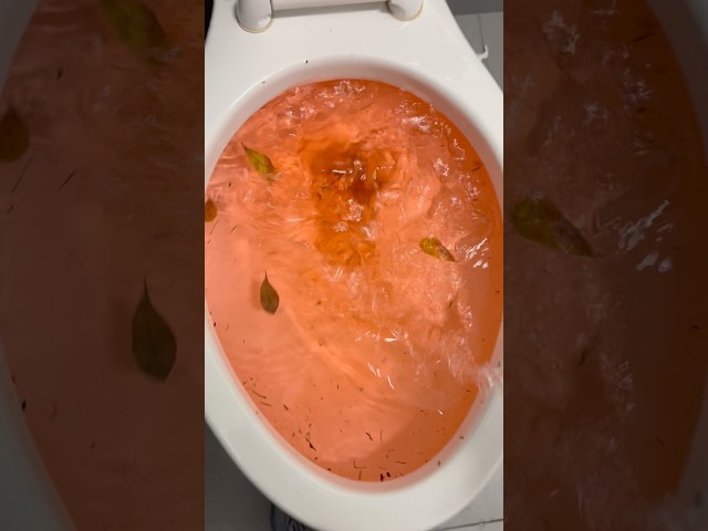 Kohler highline class 5 toilet siphoning out with light red water!!!