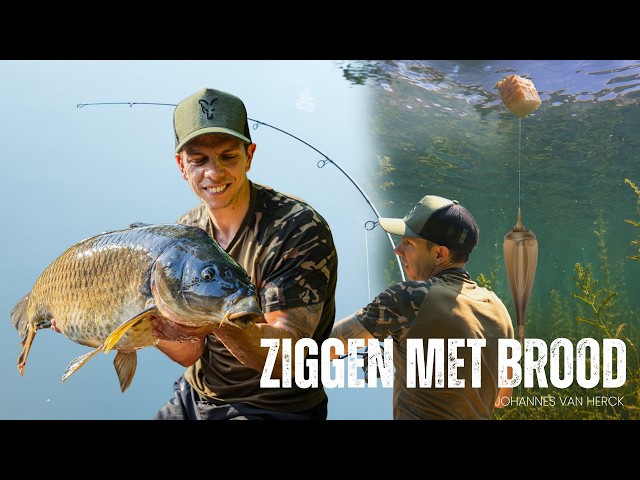 Ziggen with Bread! 🥖
