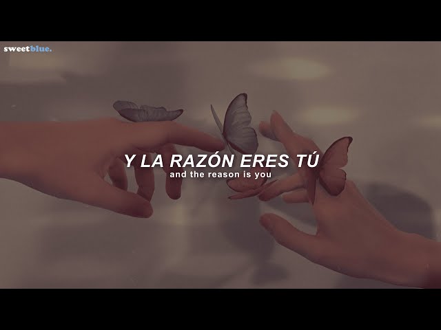 Hoobastank - The Reason (Sub. Español + Lyrics)