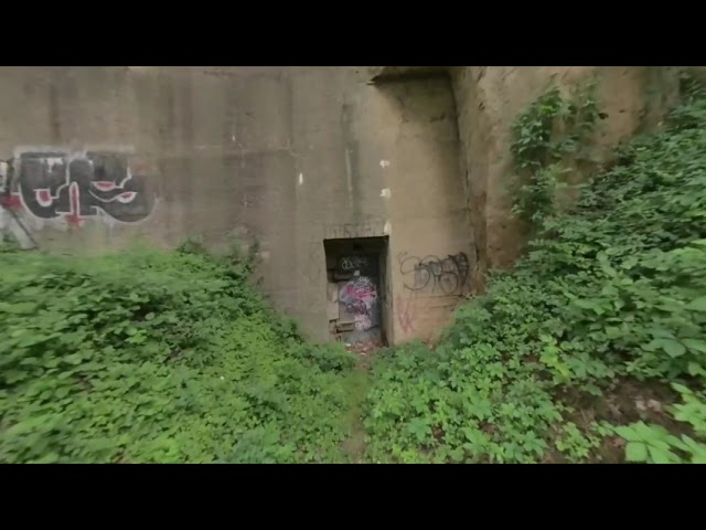 Nature on Your VR180 Holiday