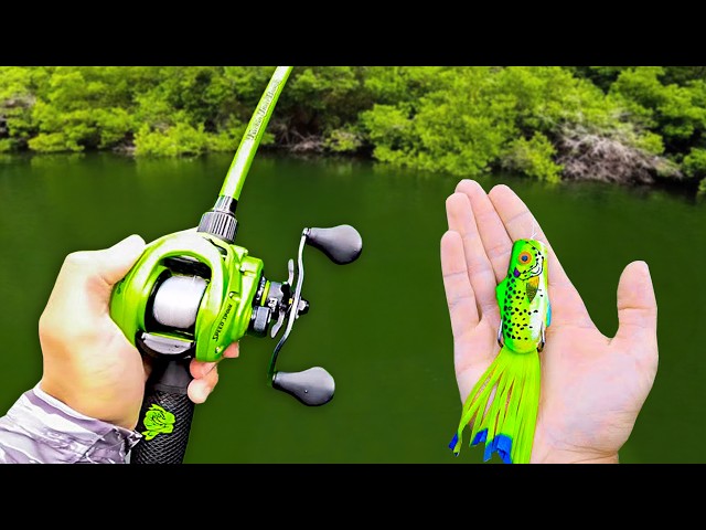 Fishing for 10lb Bass w/ FROGS!