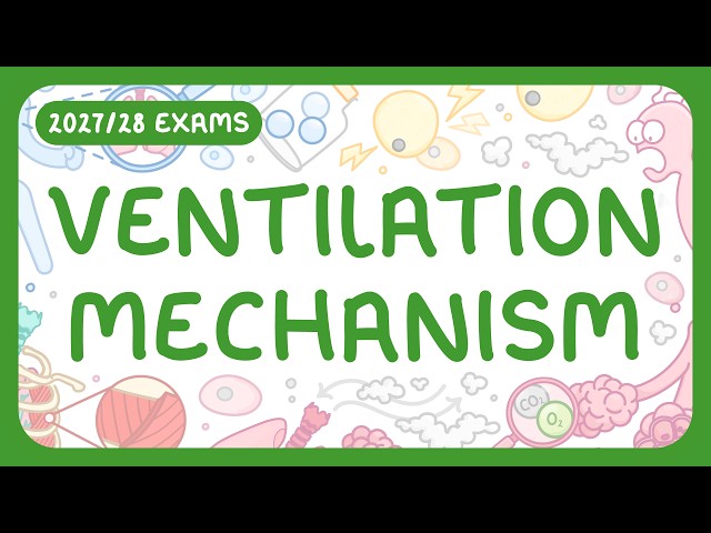 Ventilation Mechanism | How Breathing Works | Inspiration & Expiration (2026/27 exams)