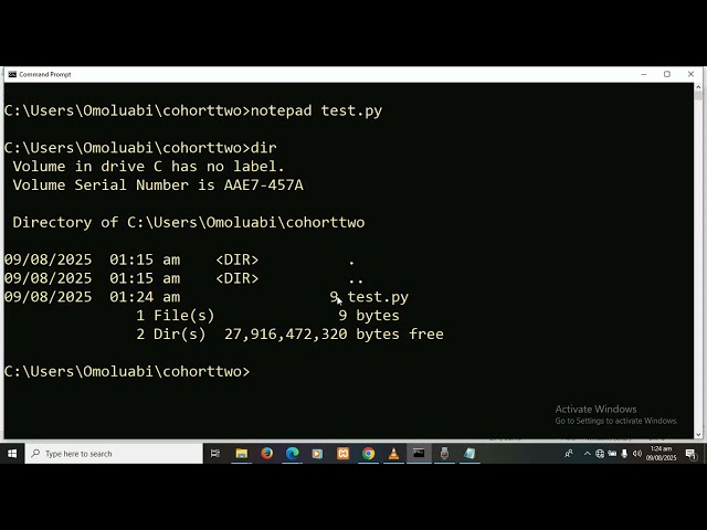 Executing python scripts in Command Prompt 