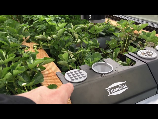 FarmBot in Action bei itelligence Berlin