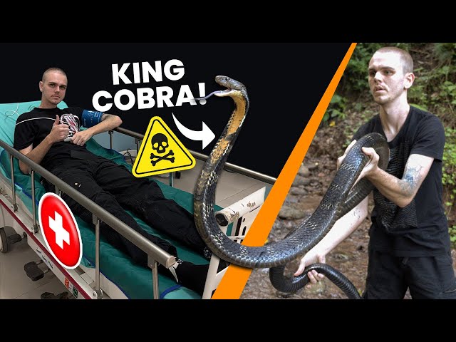 BITTEN BY THE DEADLIEST SNAKE IN ASIA