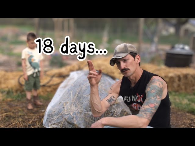 Make Compost in ONLY 18 Days | Fast, HOT Composting