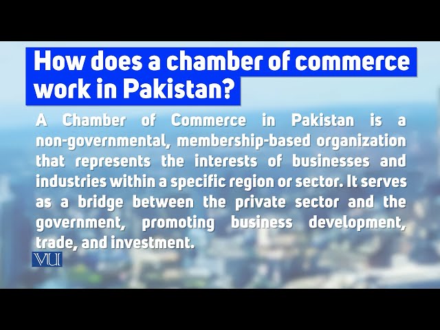 Working of a Chamber of Commerce | Introduction to Business | MGT211_Topic135