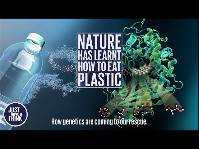 Nature has learnt how to eat our plastic!