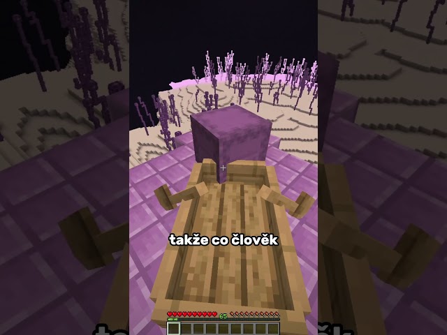 Jak získat nekonečno shulkerů