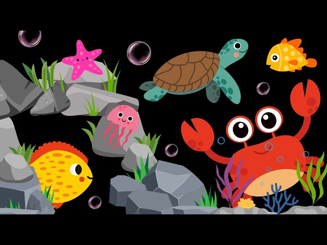 Baby Sensory Video – Newborn Visual Stimulation – Sensory Videos for Babies - Tummy Time #baby