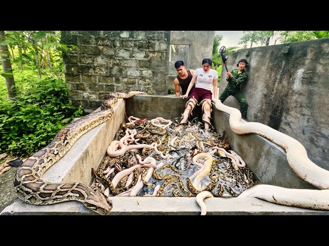 Brave Soldiers Use High-Tech Snake Detector to Locate Giant Python Nest in Abandoned House