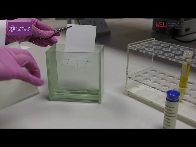 Biochemistry Lab - Thin layer chromatography for separation and identification of lipids