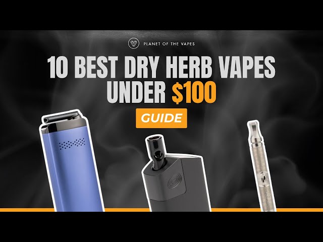 Top 10 Dry Herb Vaporizers Under $100 in 2025! 🤑 Best Budget Picks