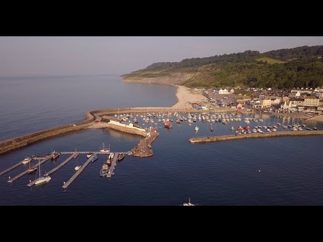 Lyme Regis Harbour