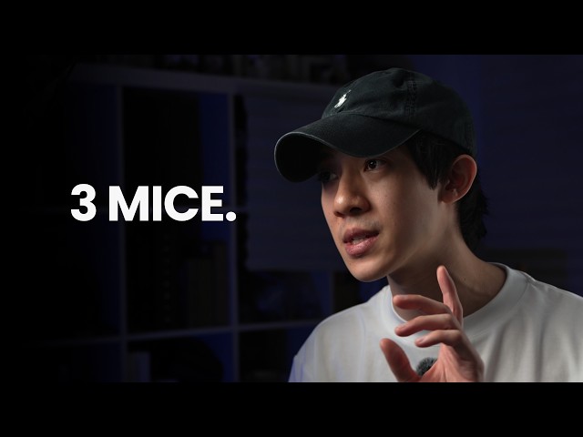 The 3 Mice I Keep Coming Back To