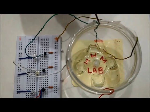 How to make a Water Level Indicator [ Basic Electronic Project ]