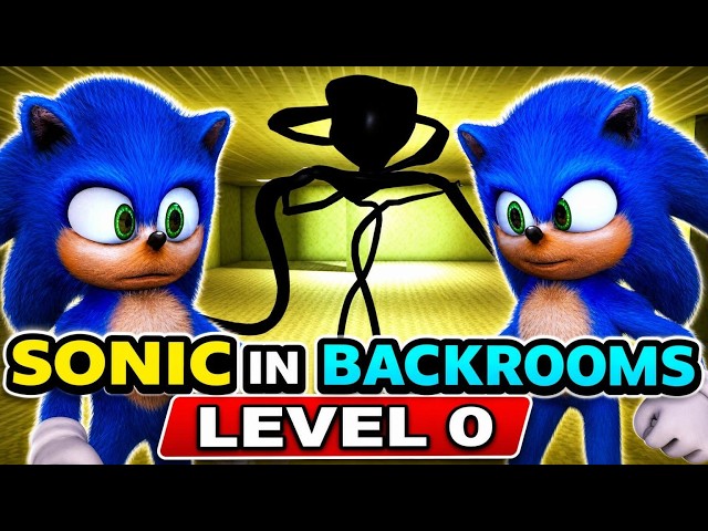 NEW SONIC vs. The BACKROOMS Challenge Level 0 Minecraft Animation Comedy Horror