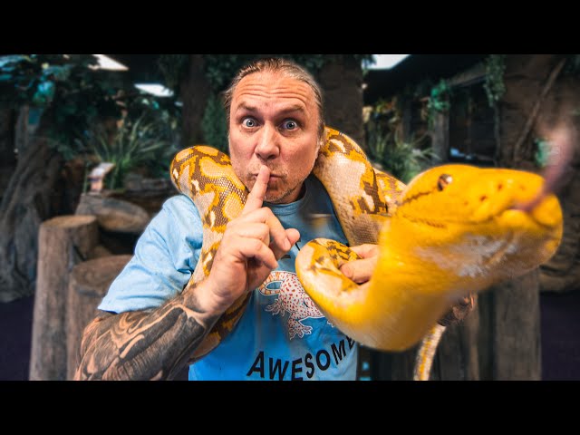 GETTING A NEW HUGE SNAKE!! DON'T TELL MY WIFE!!! | BRIAN BARCZYK