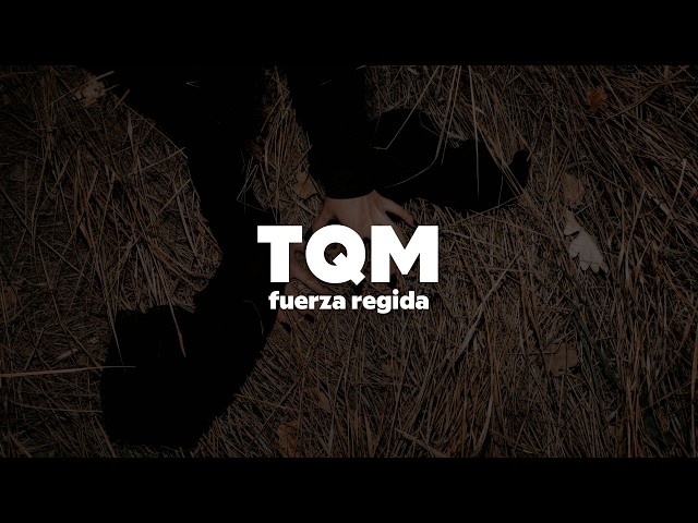 Fuerza Regida - TQM | Letra