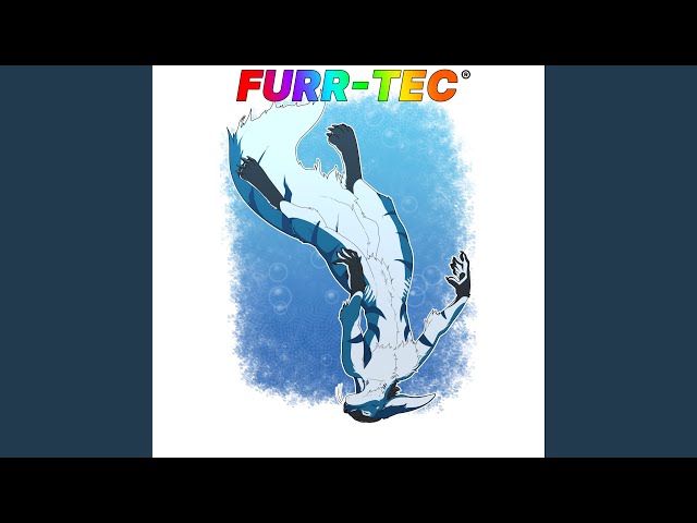 Calm Amidst the Chaos