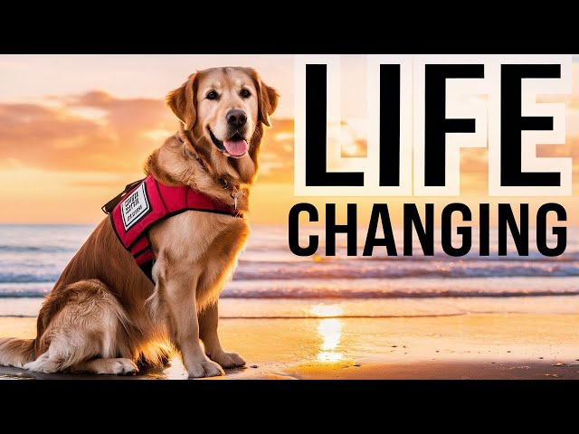 Chronic Fatigue Syndrome Sufferers Rejoice! New Hope with Service Dogs