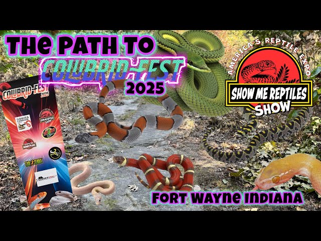 COLUBRIDFEST 2025 Highlights 
