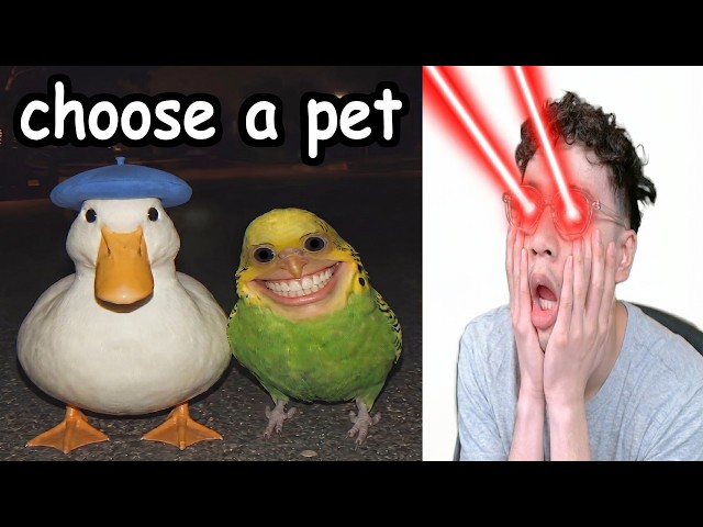 Pick A Partner (try not to get diddled)