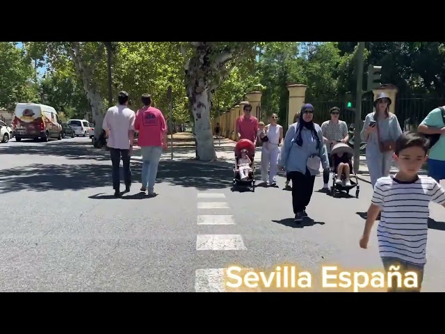 Virtual walk in Sevilla España under the heat of the sun | Summer 2024