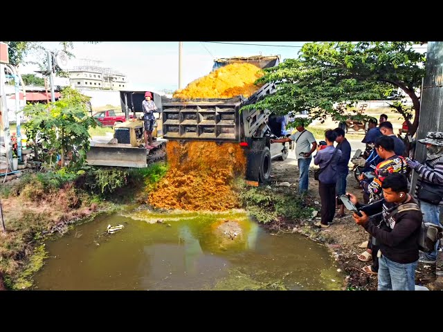 First Starting A New Project! Filling Land By Bulldozer Komat'Su D20P Push soil with 5ton Trucks