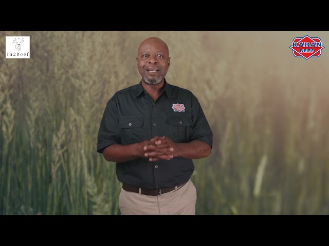 KARAN BEEF Academy - EP 1 INTRO & OVERVIEW OF THE SA CATTLE MARKET - ENG