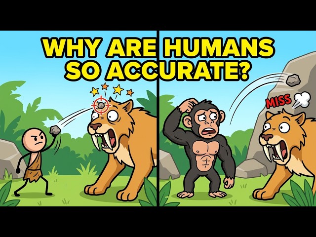 Why Humans Are The Only Species Capable Of Throwing With Deadly Accuracy